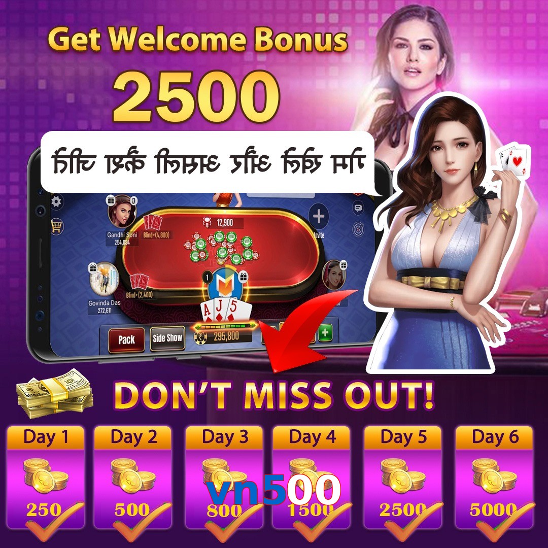 vn500