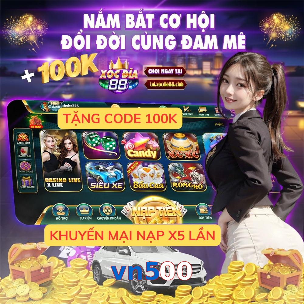 vn500