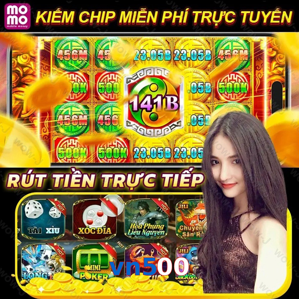 vn500