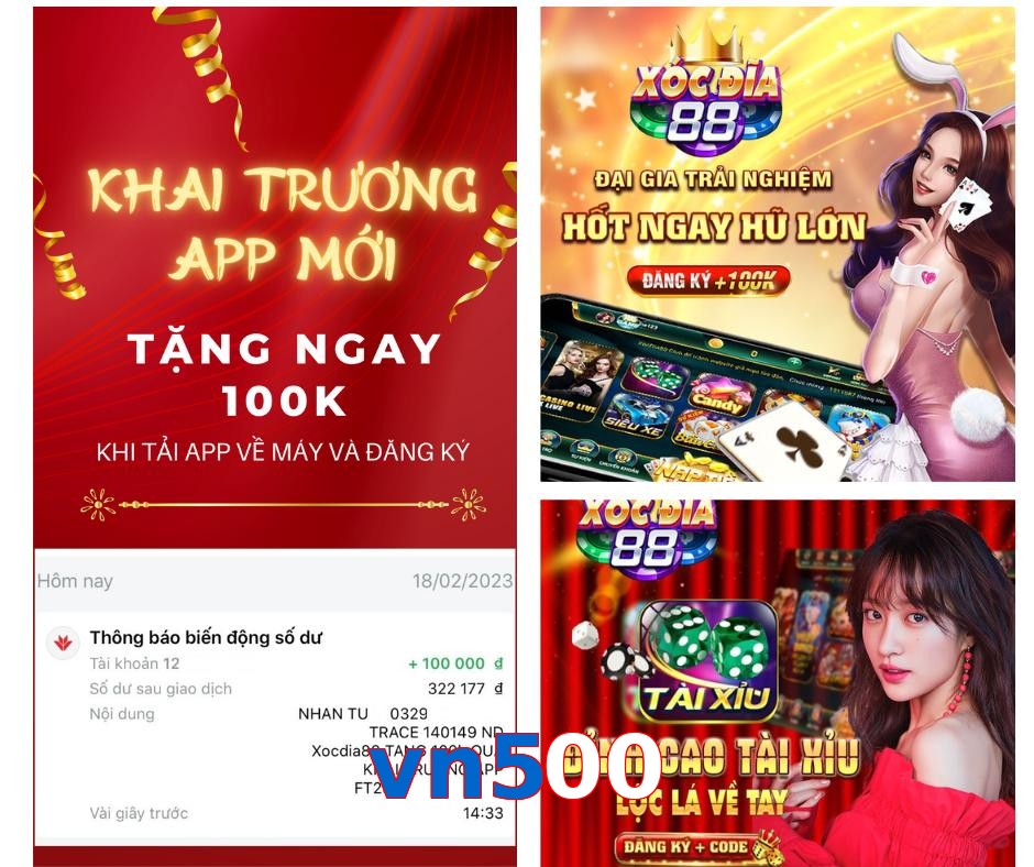 vn500