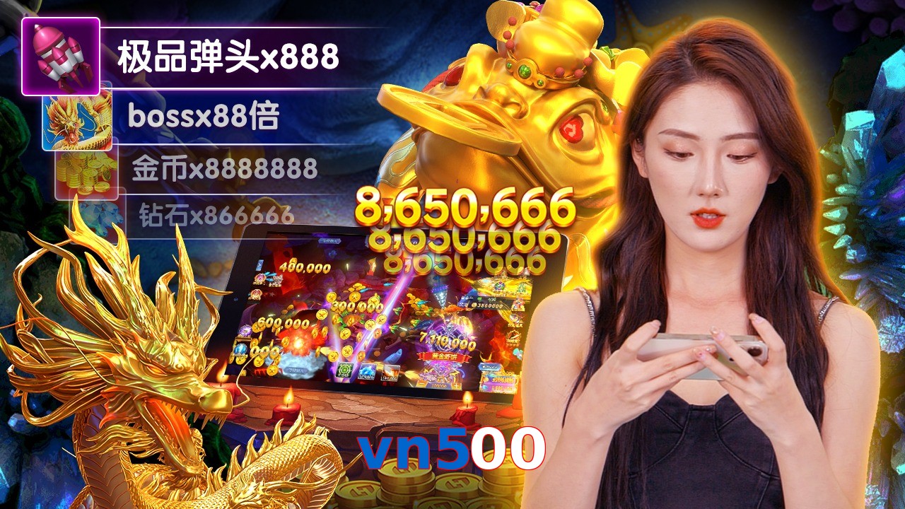 vn500