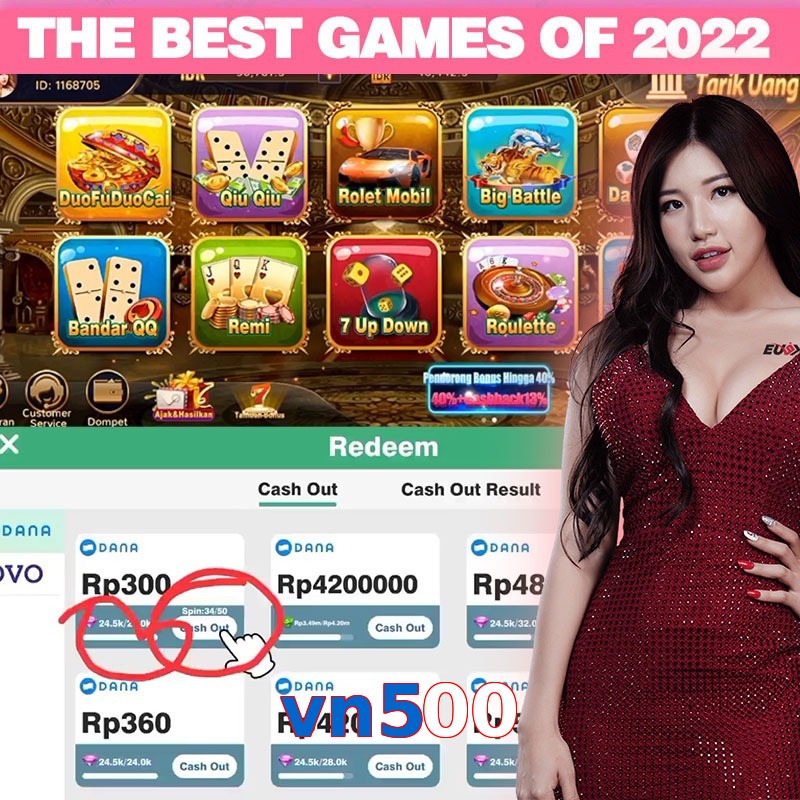 vn500