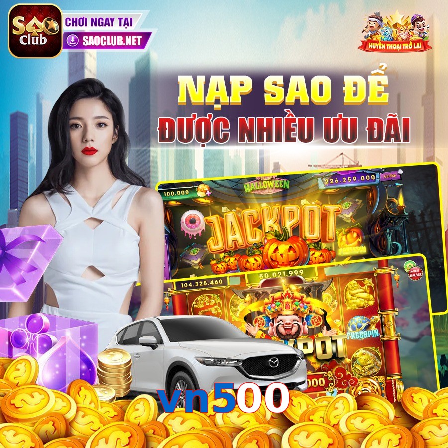 vn500